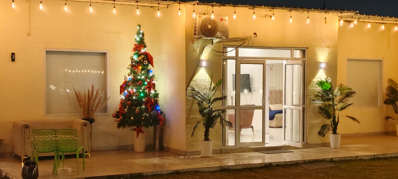 Festive Entrance at Night